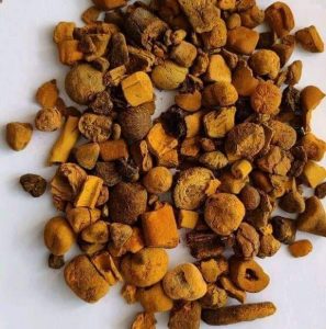 Buy bulk OX COW GALLSTONES