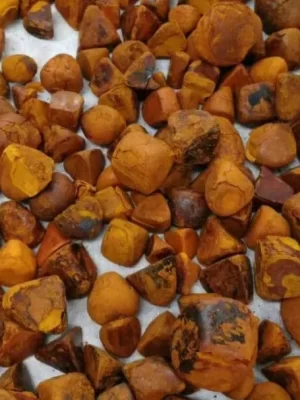 OX cow gallstones for sale