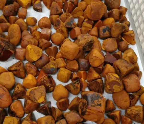 OX cow gallstones for sale