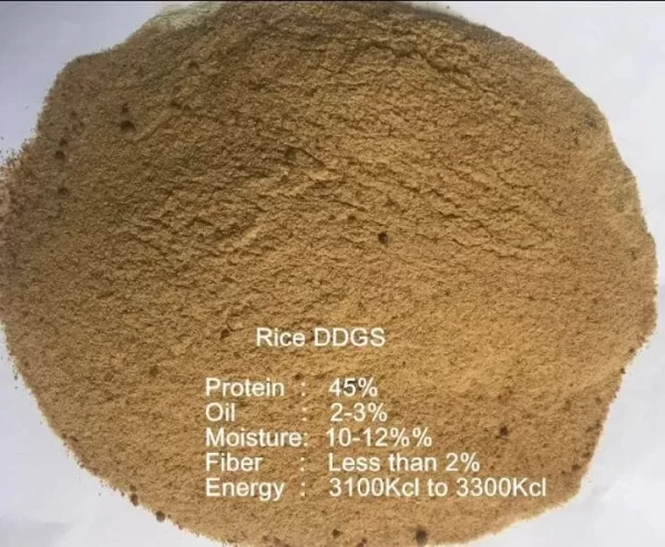 wholesale ddgs rice ddgs feed and corn ddgs